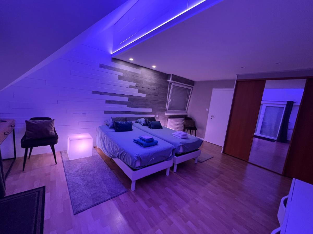 Chambre Executive Luxe Et Confort Pour Vos Sejours Schweighouse-sur-Moder Eksteriør bilde